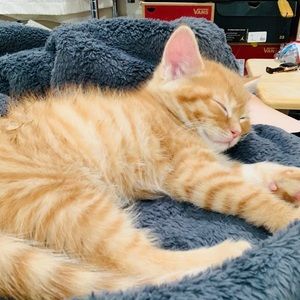 Meet your Posher, April